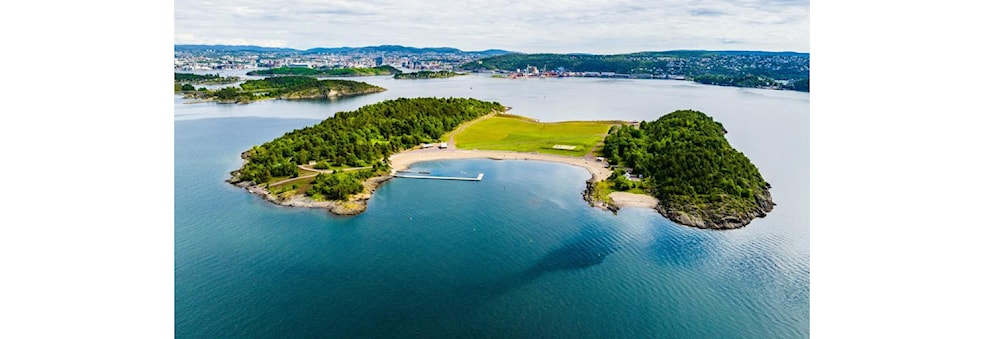 OSI Friluft End Party